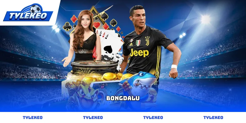 Giao diện theo dõi dữ liệu trực tuyến tại bongdalu