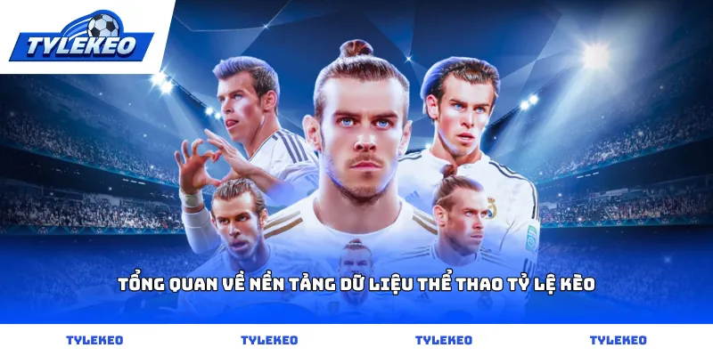 Tổng quan về nền tảng dữ liệu thể thao tỷ lệ kèo